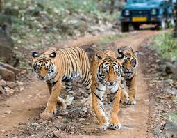 Ujjain Tour